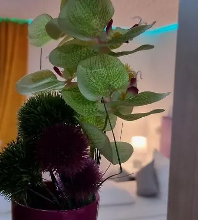 Studio-apartment ' Andrei 1 ' - Neu In דירה *